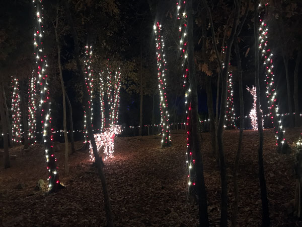 Christmas lights at Daniel Stowe Botanical Gardens